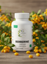 Berberine Lifestyle