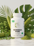 Moringa Pure Lifestyle